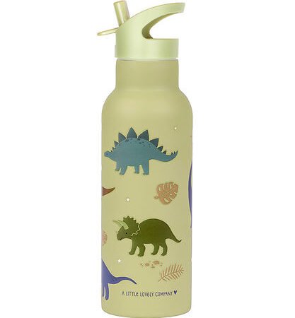 Gourde A Little Lovely Company - 500 ml - Dinosaur